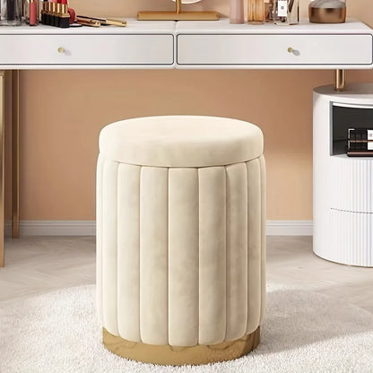 Modern Cushioned Storage Stool