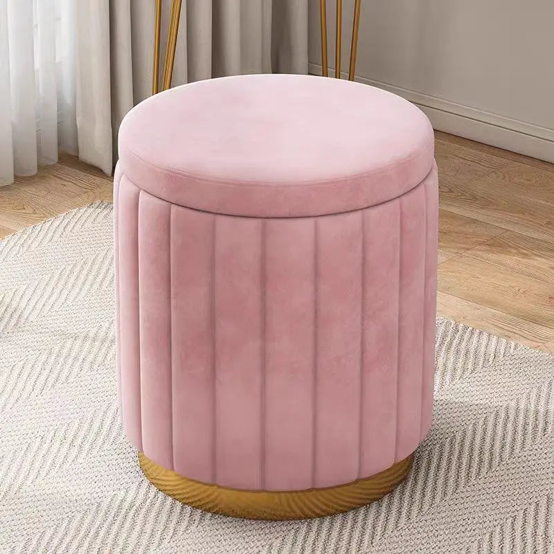 Modern Cushioned Storage Stool
