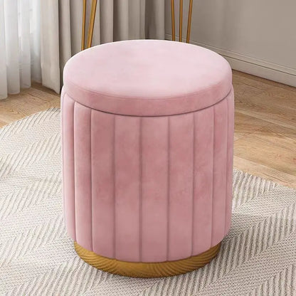Modern Cushioned Storage Stool